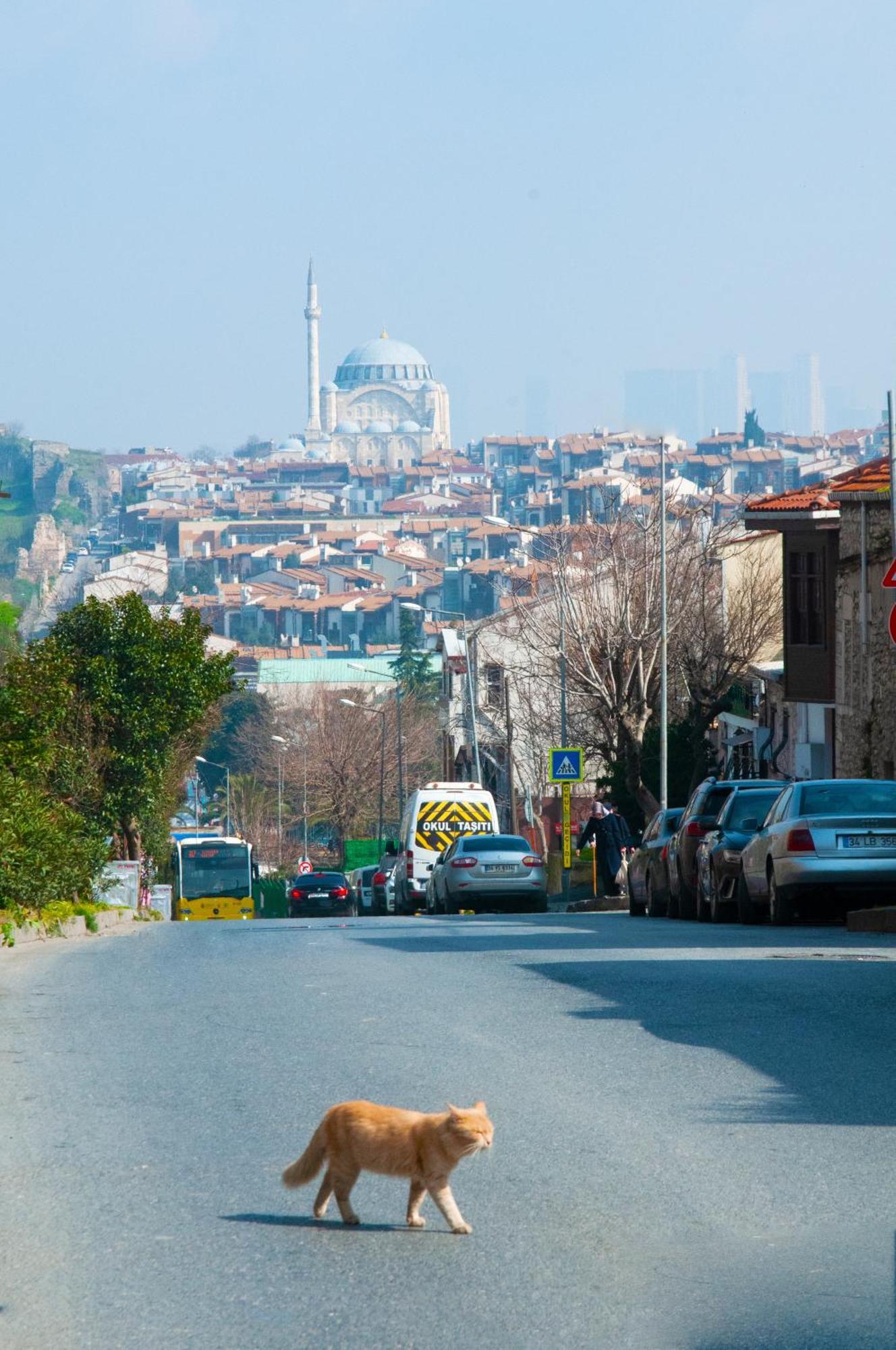 Istanbul Efes Hotel 외부 사진